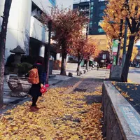 Cynthiachan92