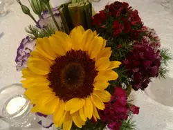 mrs_ronan56