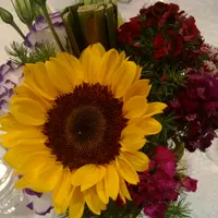 mrs_ronan56