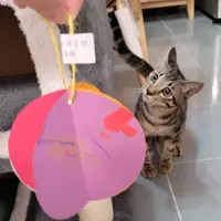toueiyip