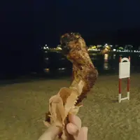 sandyfun