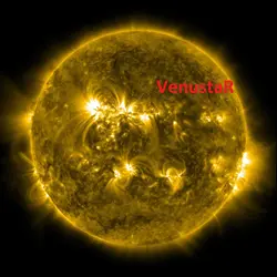 VenustaR