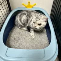 KaLuibb