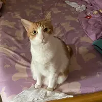 Kiko0620