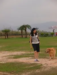 vyvyvycheng