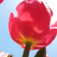 BEA 比