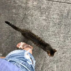 meiki_22