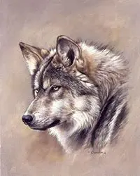 skyung1997