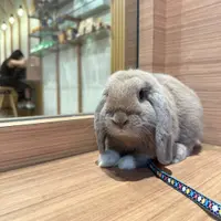 urnotlickylee