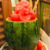 食之Dorothy