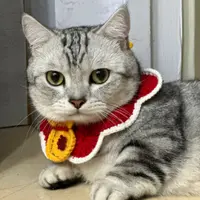 Miffymok