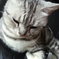 快樂小魚兒