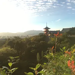 洪三胖