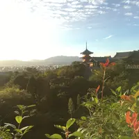 洪三胖