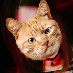 食食呀食食矇你