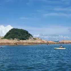 WingLau2322