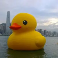 PatrickTam1481