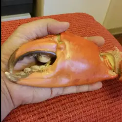 食得是福又滿足