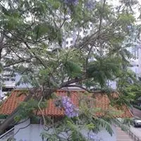 AmyChung0920
