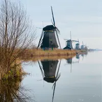JanetteTSE