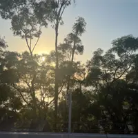 LeilaElaineLiu