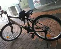 泥鰍tim