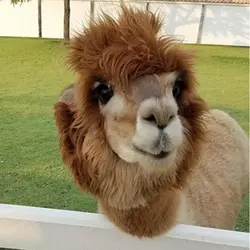 美味傢伙