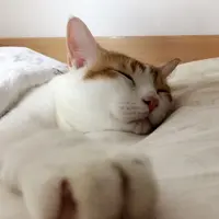 很很好好味