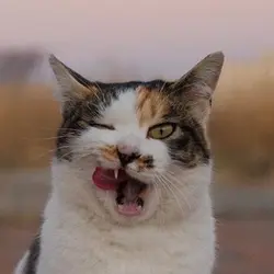 EaterJ