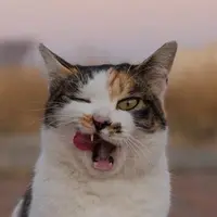 EaterJ