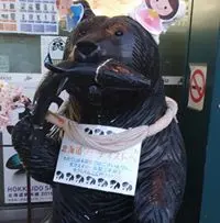 GaRyWinWinKwAn