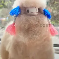 DoraLeung5500