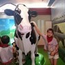 MayNgan7296
