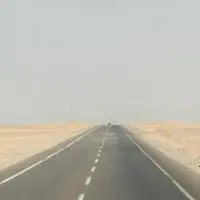 TammieLi