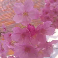 就是喜歡食