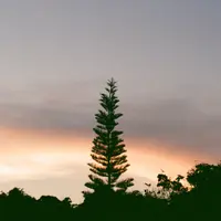hagridb