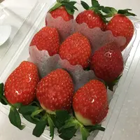 為食龍蝦小兵