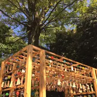 arhilhilhilhil
