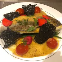 feijunior