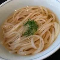 法證烏冬2