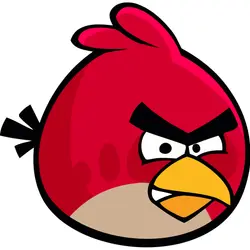 直直bird極