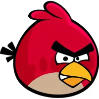 直直bird極