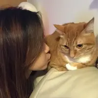 Patpatpang