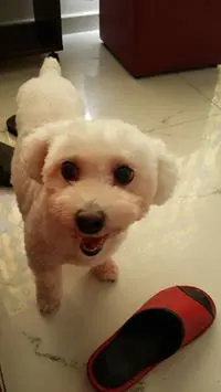 ChukYinNg