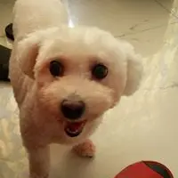 ChukYinNg