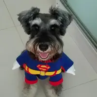 加比爾