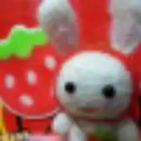 小猪BoBoBo