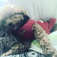 一勞永逸