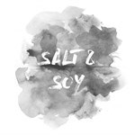 SaltandSoy