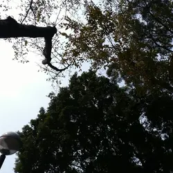 孤獨是我的名字